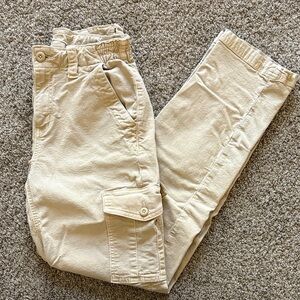AE Cargo Pants